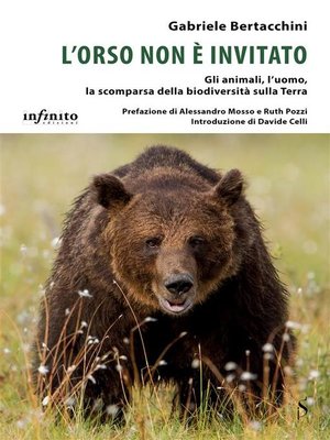 cover image of L'orso non è invitato